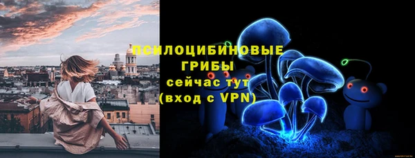 ECSTASY Нязепетровск