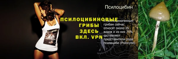 героин Новозыбков