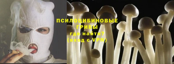 твердый Нягань