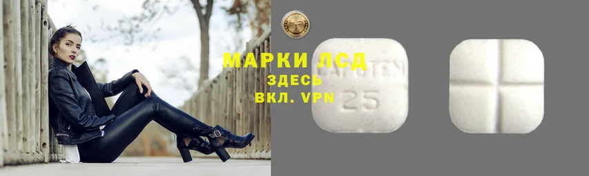 ЛСД экстази ecstasy  купить закладку  ссылка на мегу как зайти  Аргун 