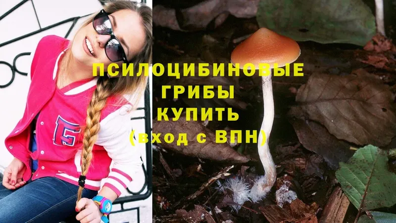 Галлюциногенные грибы Magic Shrooms  купить наркоту  кракен   Аргун 