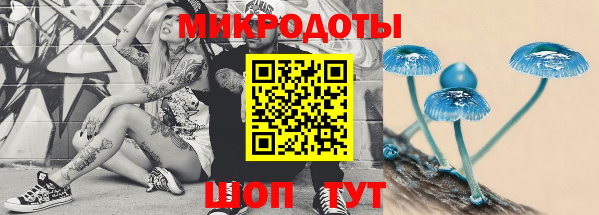Галлюциногенные грибы Cubensis Аргун