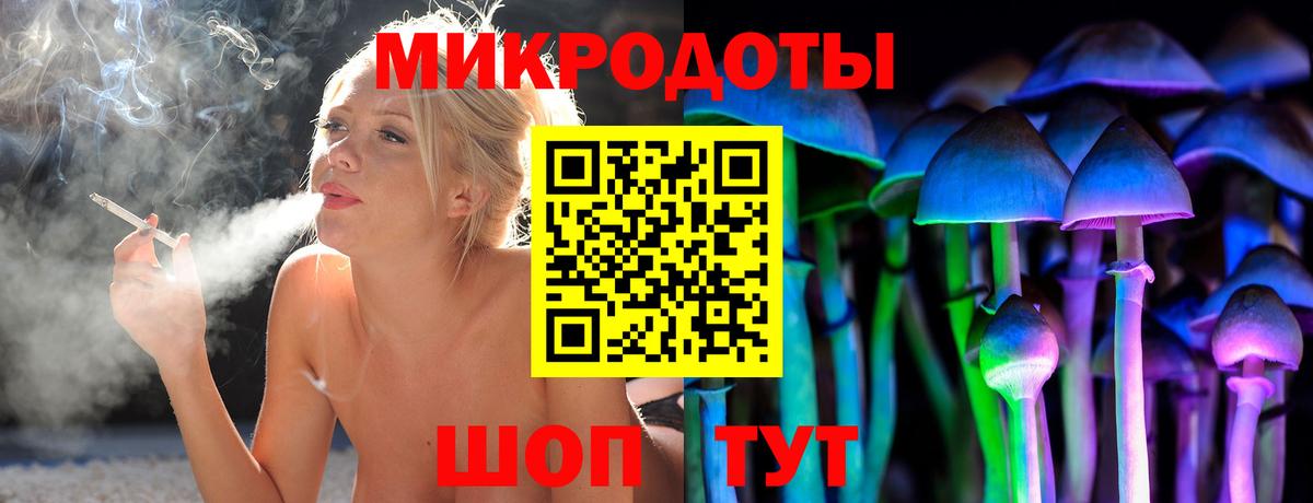 Галлюциногенные грибы Psilocybine cubensis  Вход с VPN  Галлюциногенные грибы ЛСД  Аргун 